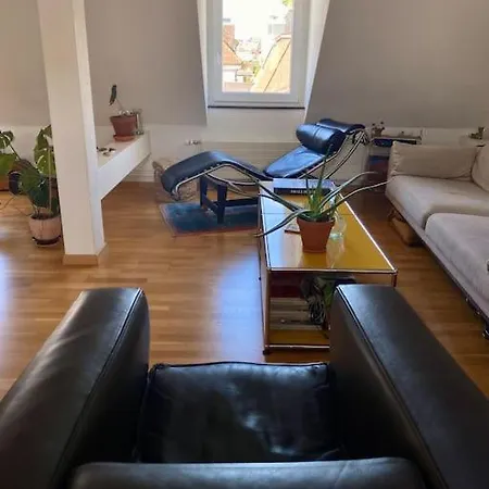 Private Rooftop In דירה ציריך